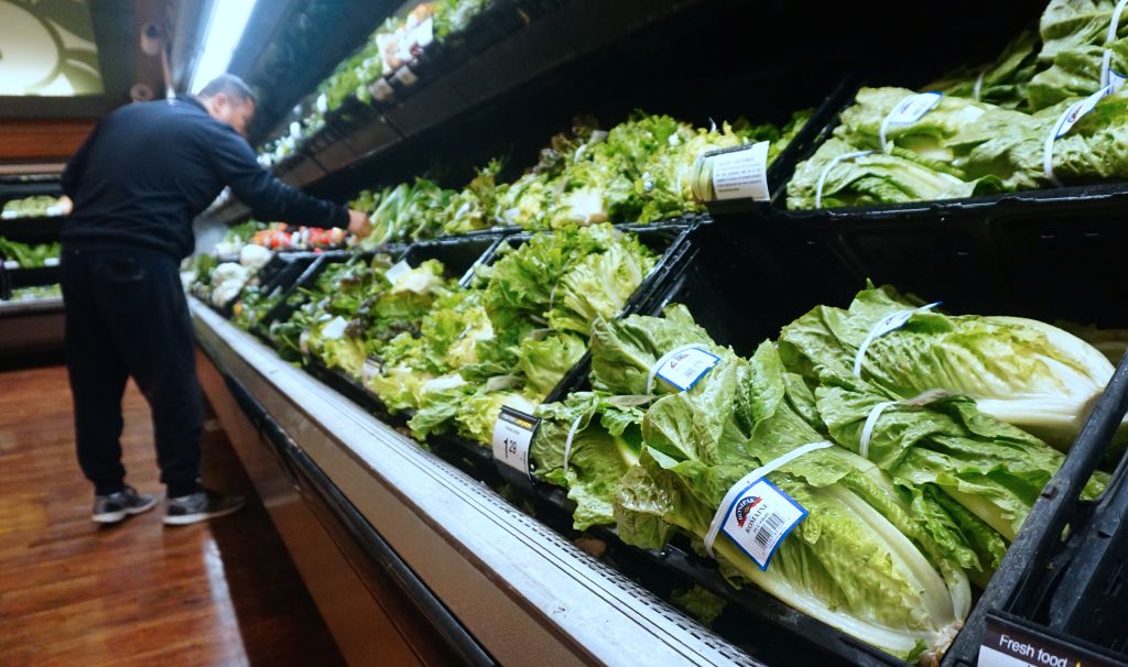 Contaminated Romaine Lettuce: Food Safety Monitoring Is Improving ...