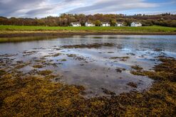 Lochs and Glens of Argyll, Home To Scotland's Peatlands