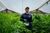 Fanny Tobón Tobón, 37, marijuana grower in Rionegro, Colombia