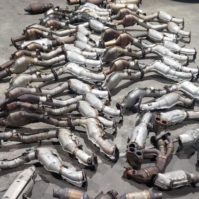 DG showing off cats on a Facebook page in 2020