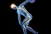 Discus throwers nervous system, illustration
