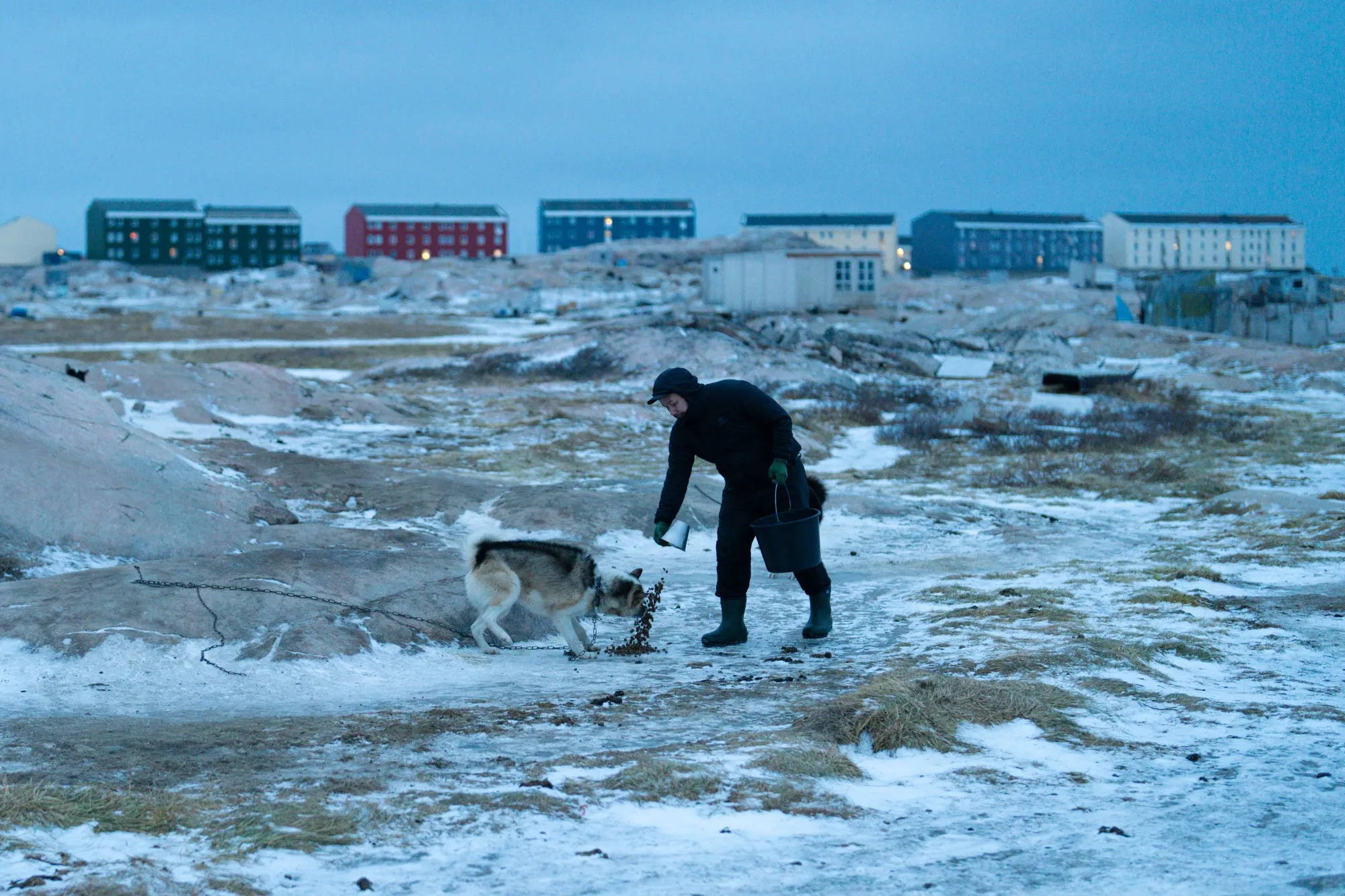 Greenland Calls on NATO to Ensure Defense Amid US Threats