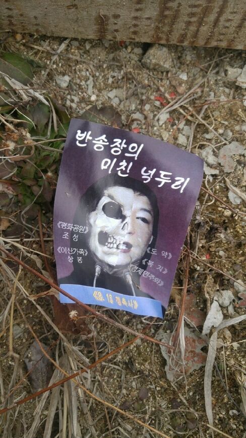 Leaflet showing Park Geun Hye’s portrait juxtaposed with a skull