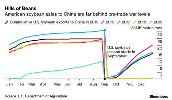 China’s Soybean Move Lands With a Thud for U.S. Farmers