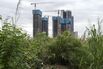 Country Garden Developments in Foshan