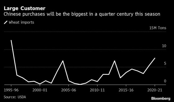 Wheat’s Drought Battle and Surging Demand: Why Prices Are Flying