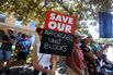 Protest Against Property Planning Laws in Sydney 