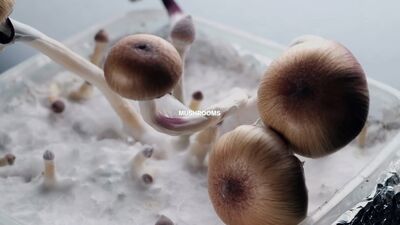 400x225.jpg 400x225.jpg