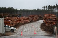 Tesla Inc. Gets Go-Ahead to Resume Clearing Forest in Germany