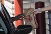 Wendy's Jumps After Trian Says It's Exploring a Transaction