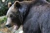 FRANCE-ZOO-WEATHER
