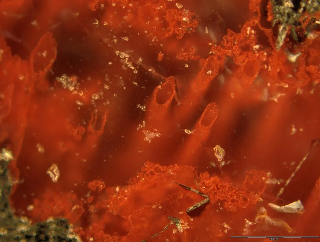 Rusty tubes from northeastern Canadian hydrothermal vent deposits that represent the oldest microfossils and evidence for life on Earth.
