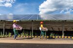 Farmers harvest mushrooms from beneath&nbsp;photovoltaic panels in Guizhou Province at a power station designed to reduce the impact on agriculture.