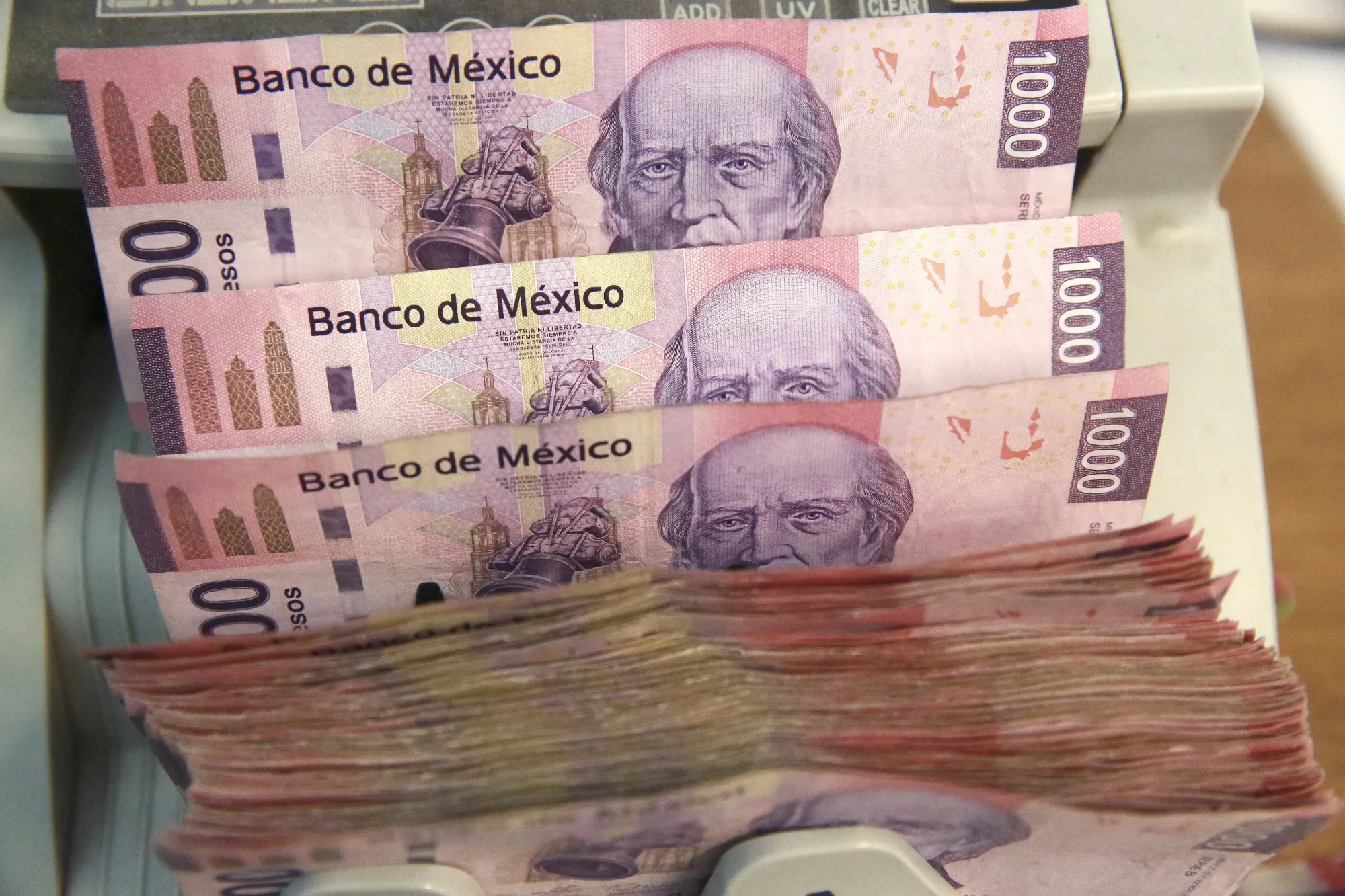 Mexico Peso Leads Gains as Banxico Said to Sell Dollars to Banks
