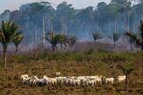 TOPSHOT-BRAZIL-FIRE-AMAZON