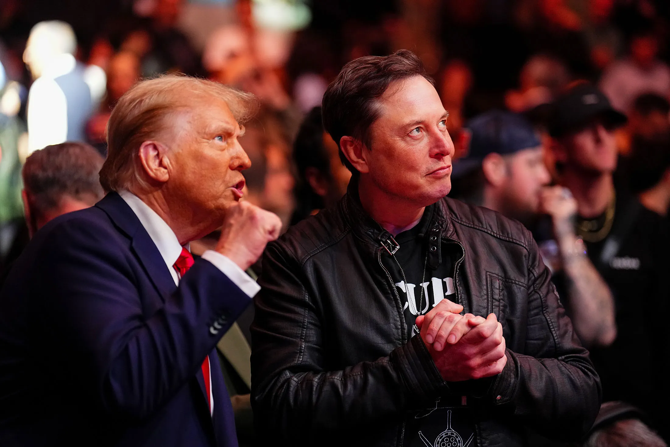President-elect Donald Trump and Tesla CEO Elon Musk talk ringside during a UFC event on Nov.&nbsp;16&nbsp;at Madison Square Garden in New York City.