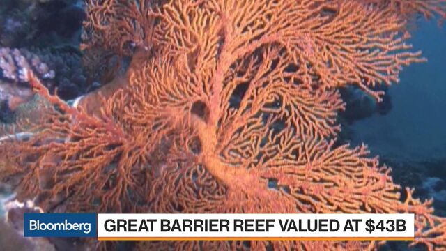 Video player cover image