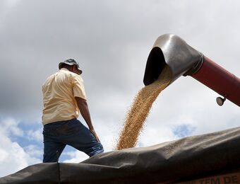 relates to U.S. Soy Supply at 48-Year Low as Brazil Ships Held: Commodities