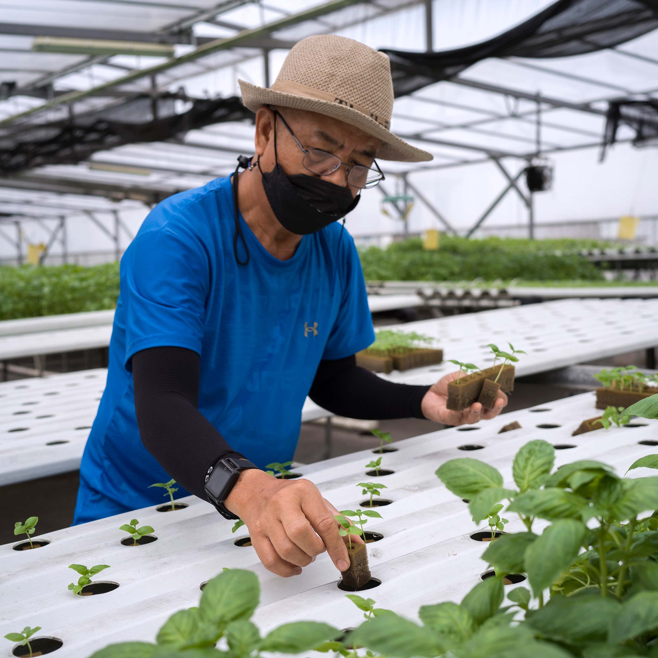 Singapore Grows Food on Skyscrapers Farms to Meet 30 of Needs by