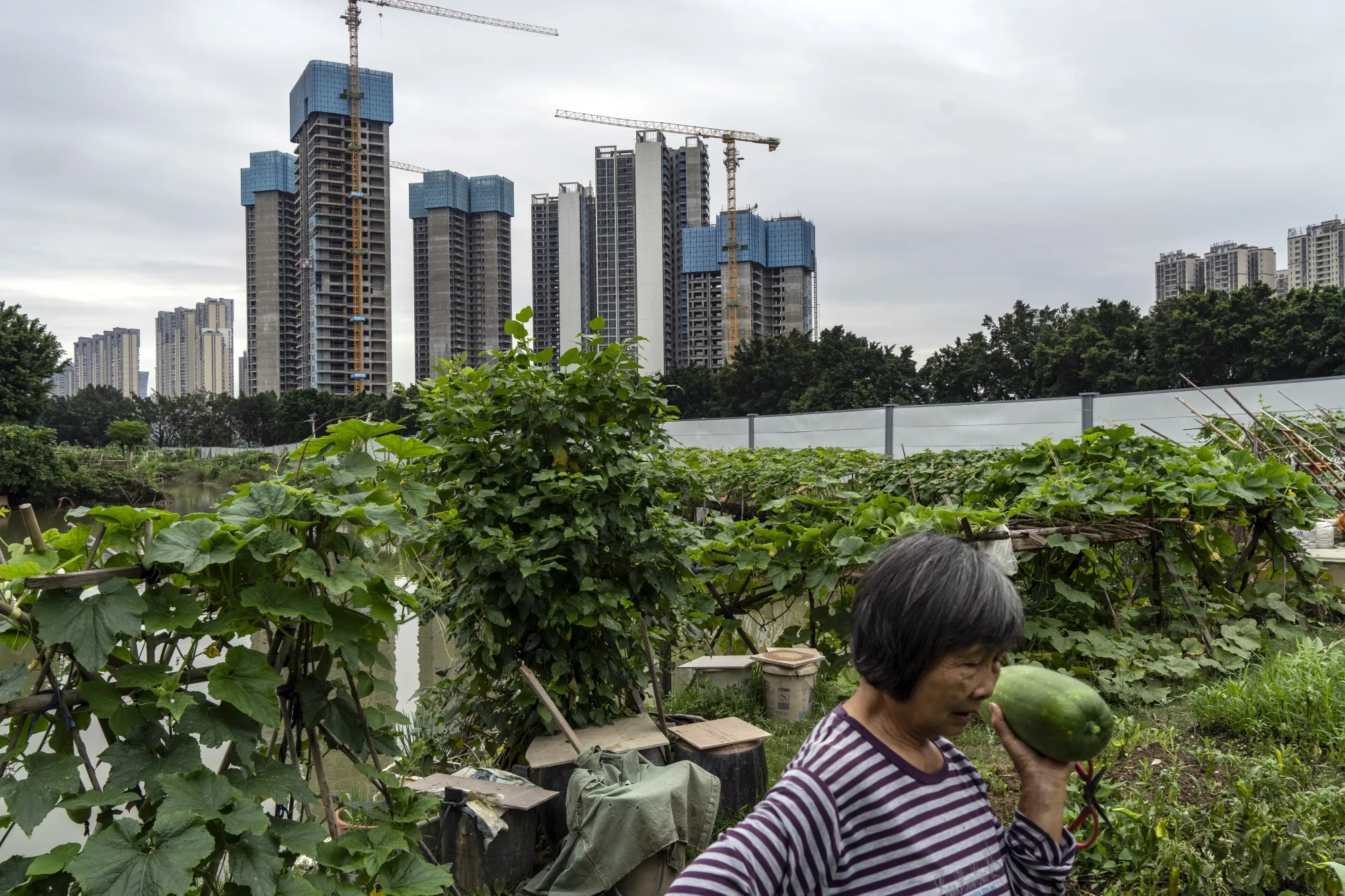 A&nbsp;Country Garden Holdings Co.&nbsp;development in Foshan, China.