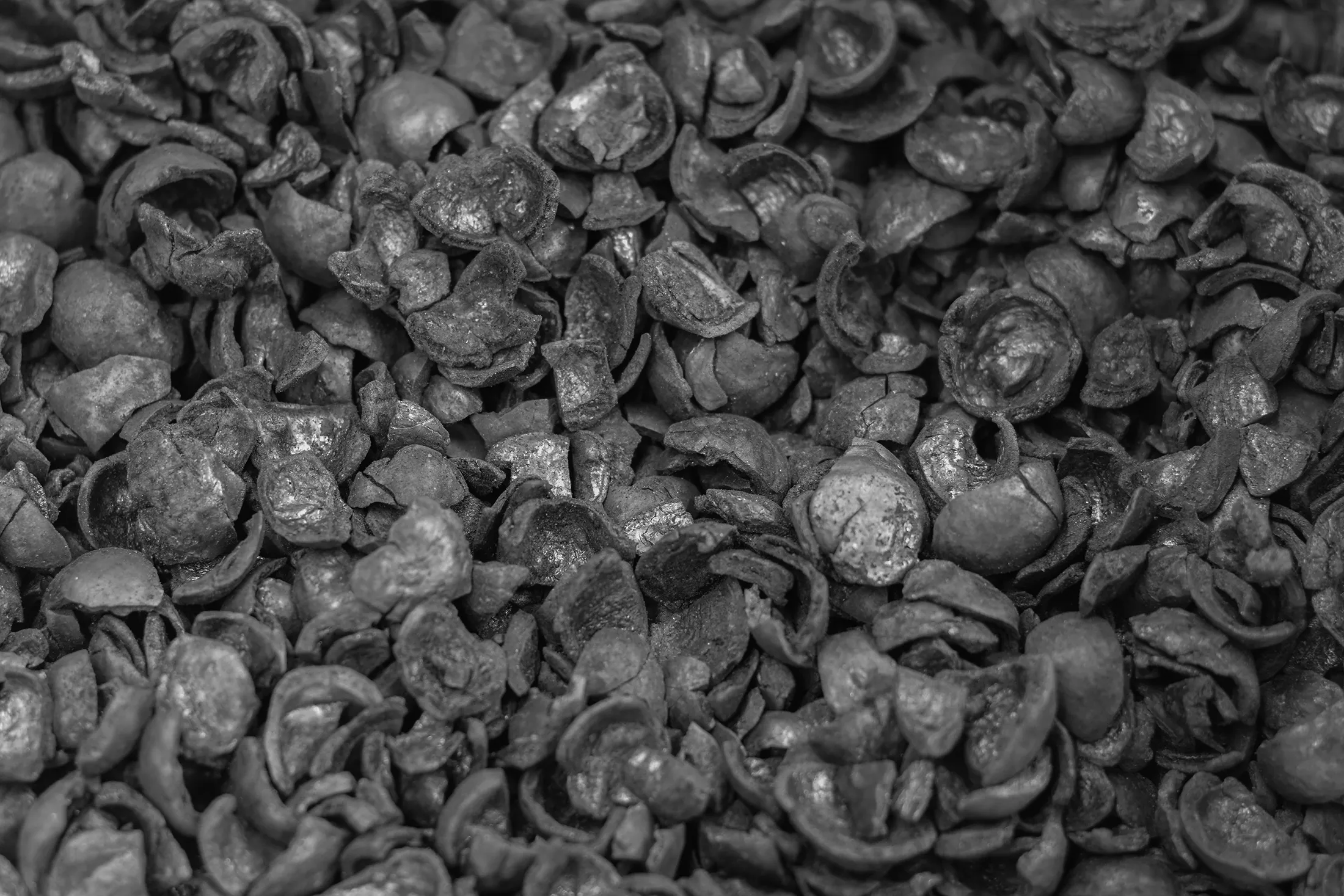 Macadamia biochar