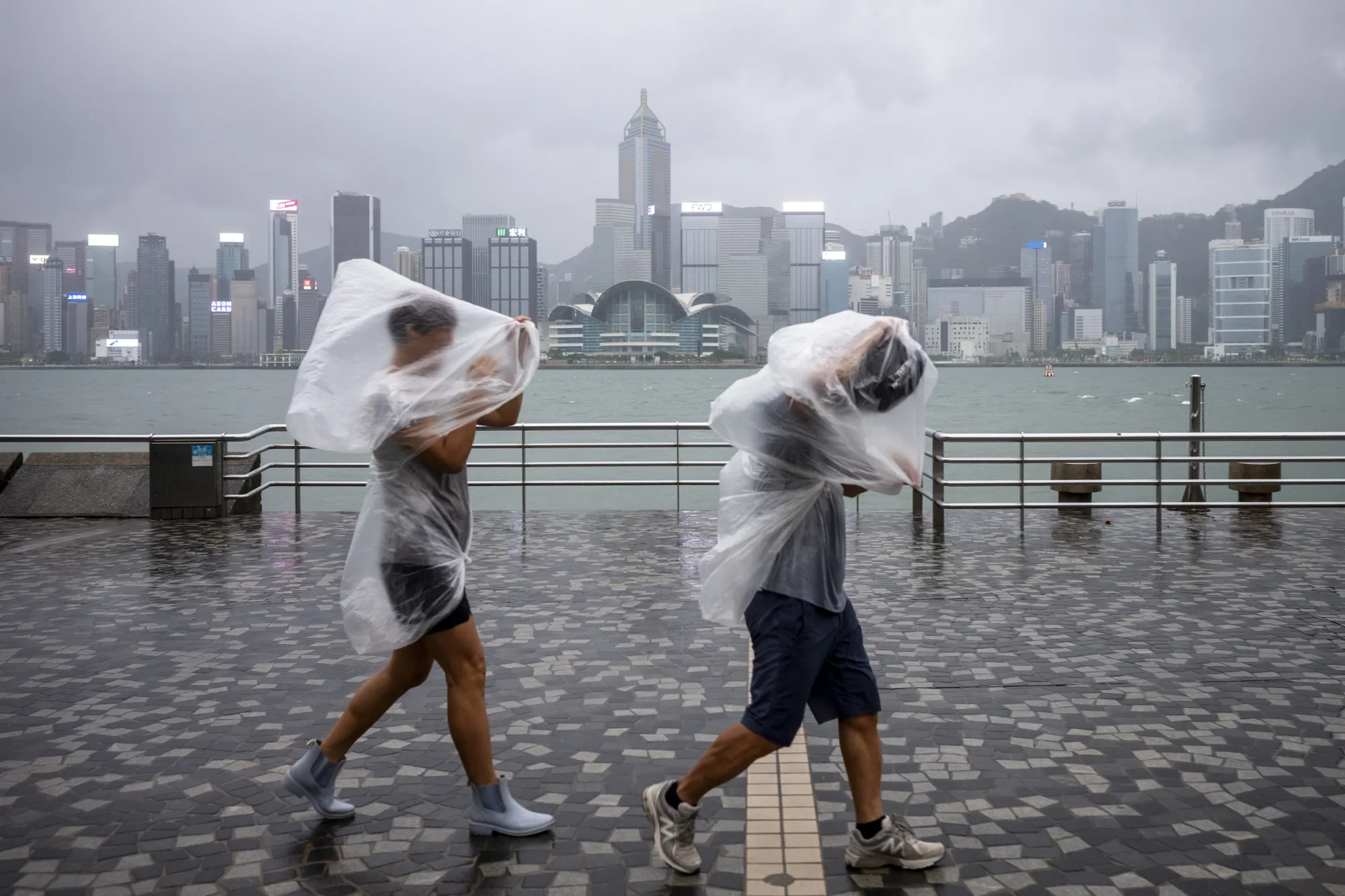 Typically about six to eight typhoons hit Hong Kong&nbsp;every year.