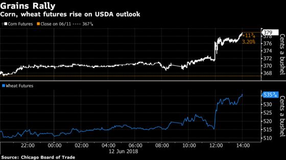 U.S. Sees Rosy Outlook for Pork, Grain Exports Amid Trade Tumult