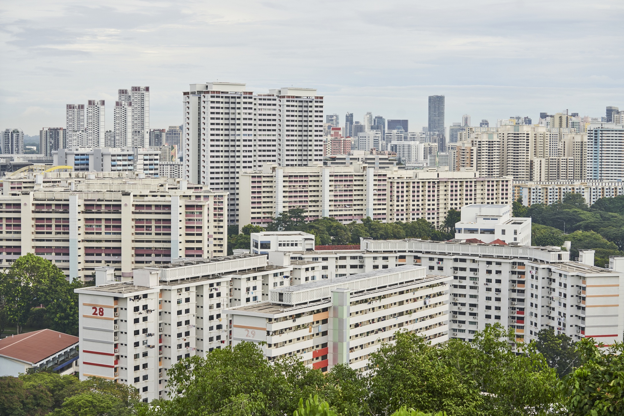 Home, Singapore Pioneer Tackle