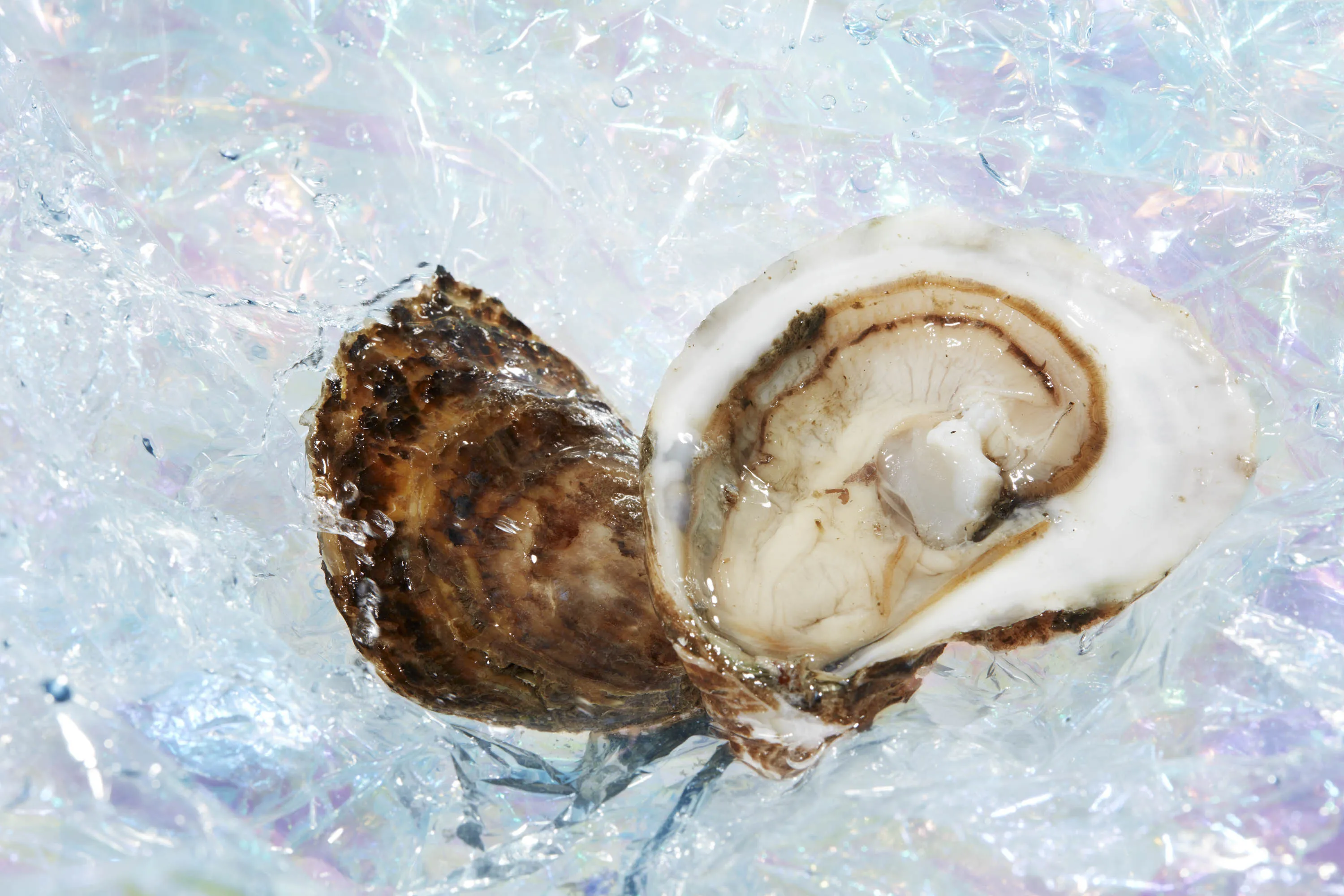 Best Oysters to Follow Kumamotos: Nonesuch, Peconic Gold, Kusshi - Bloomberg
