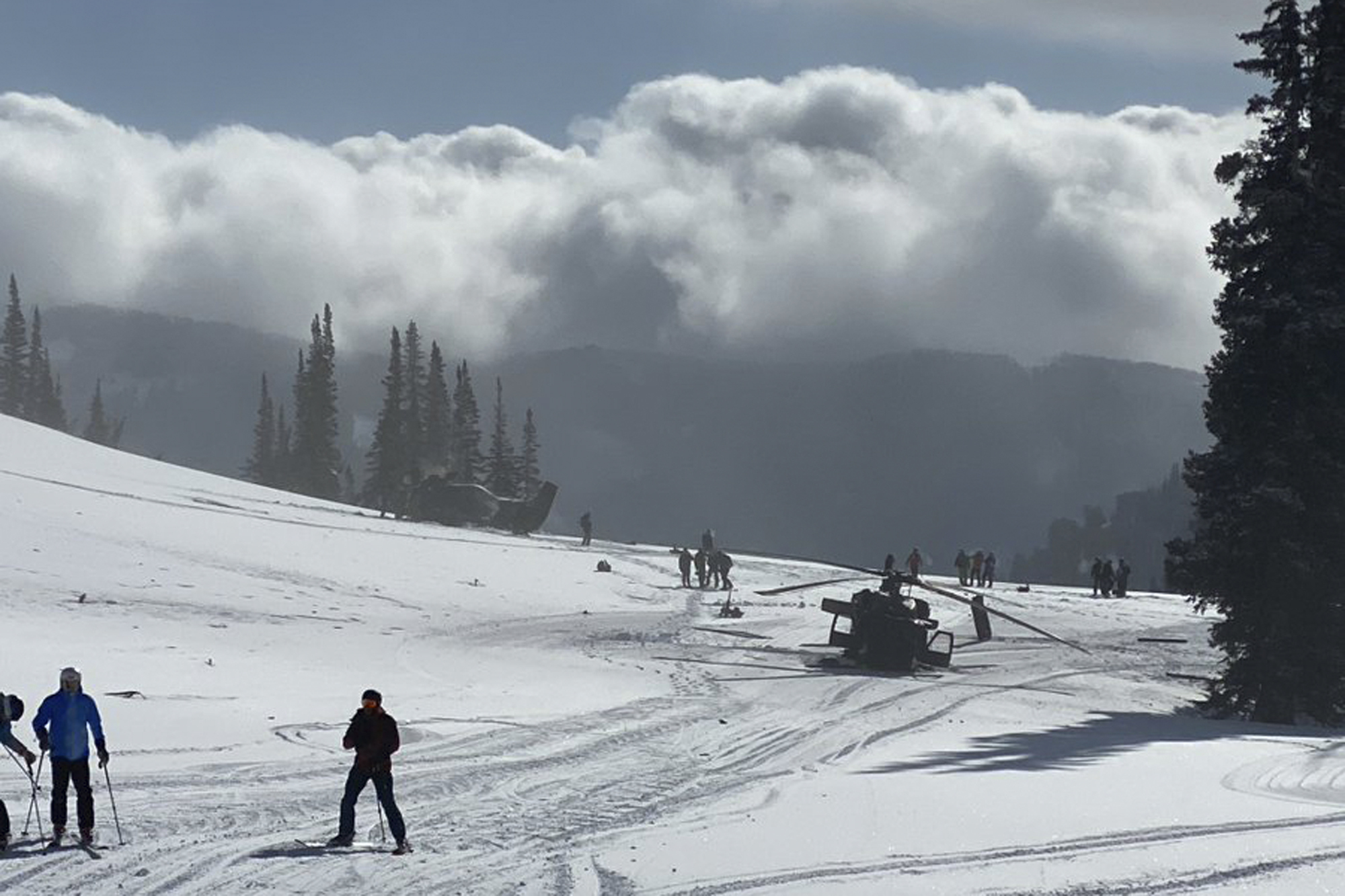 Snowbird Flight