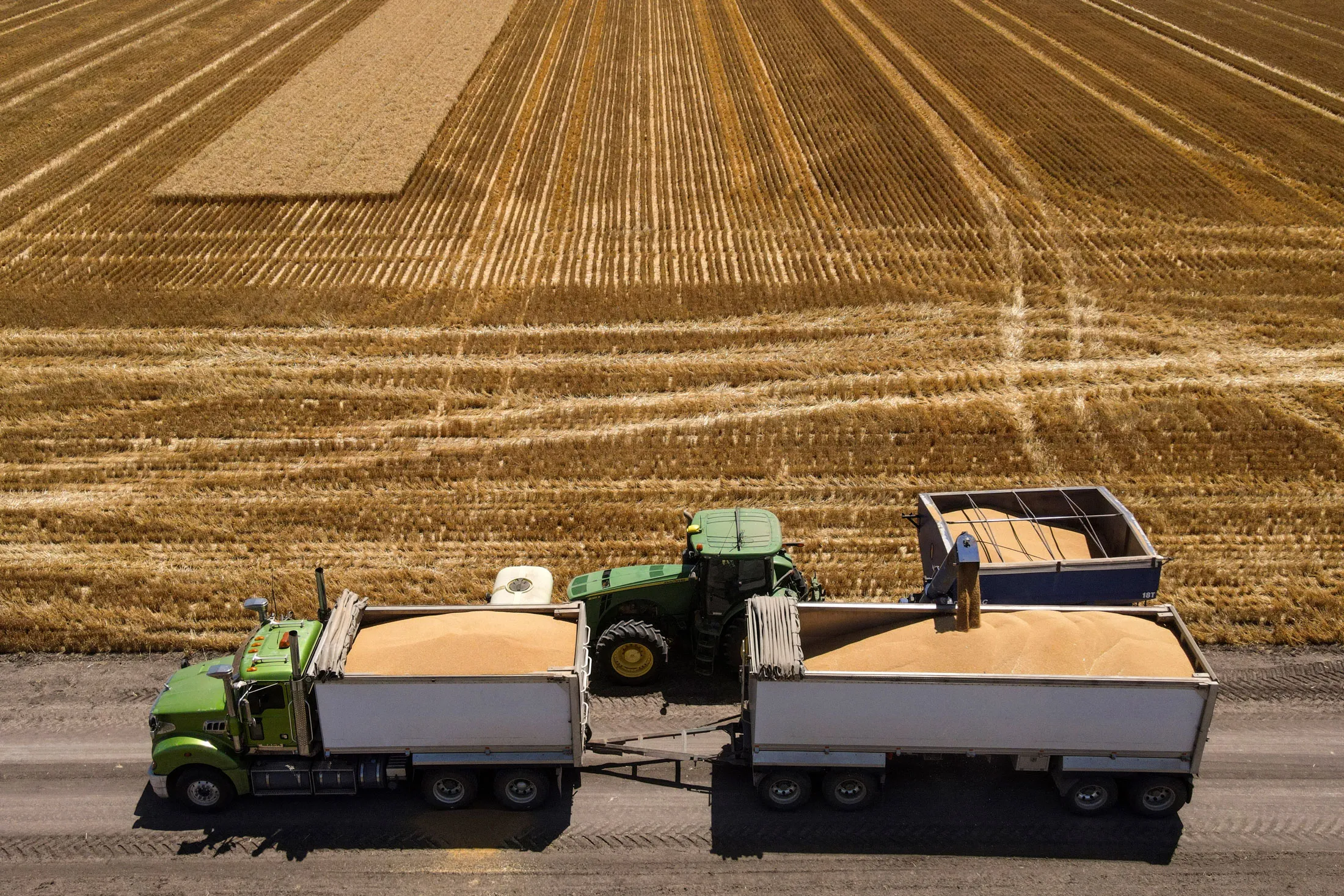 A wheat harvest in New South Wales, Australia.