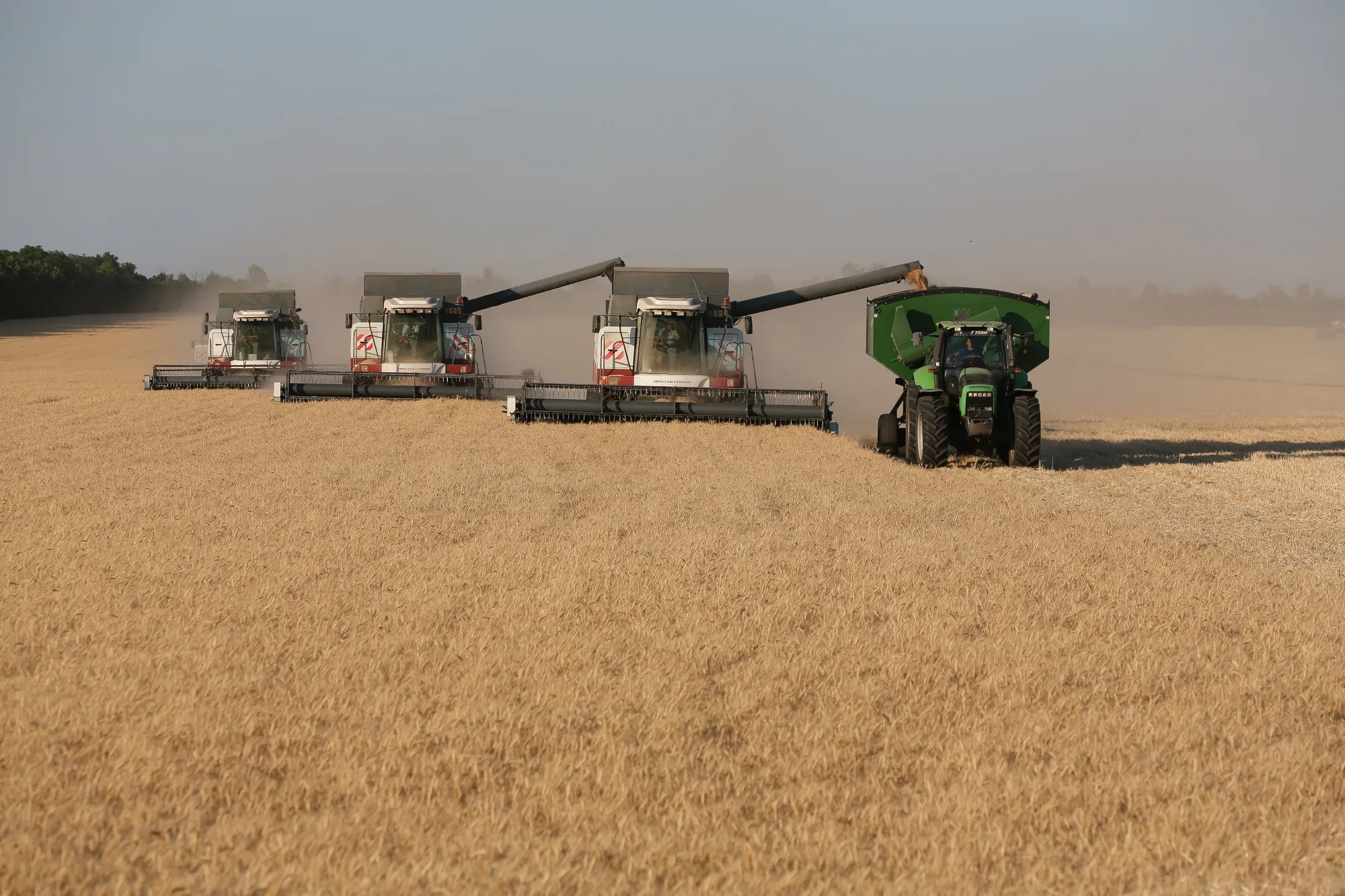 A wheat harvest near Rostov, Russia.