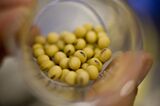 Monsanto To Complete $800 Million Share Buyback Early