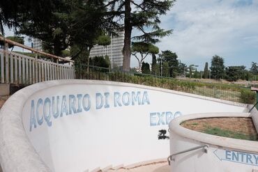 Rome's New Aquarium Ahead of Opening