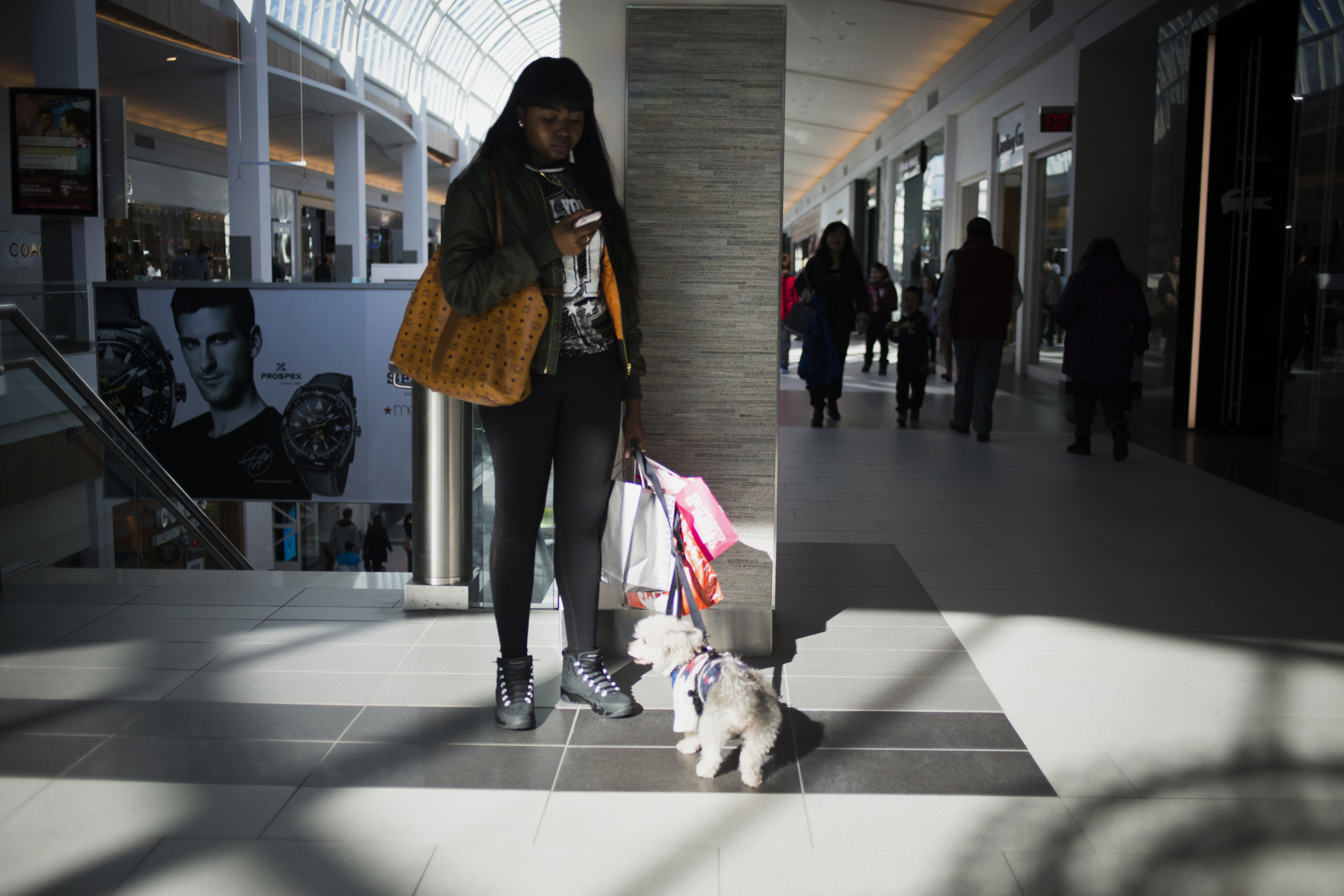 Millennials Pony Up for Pets as Holiday Shopping Season Beckons Bloomberg