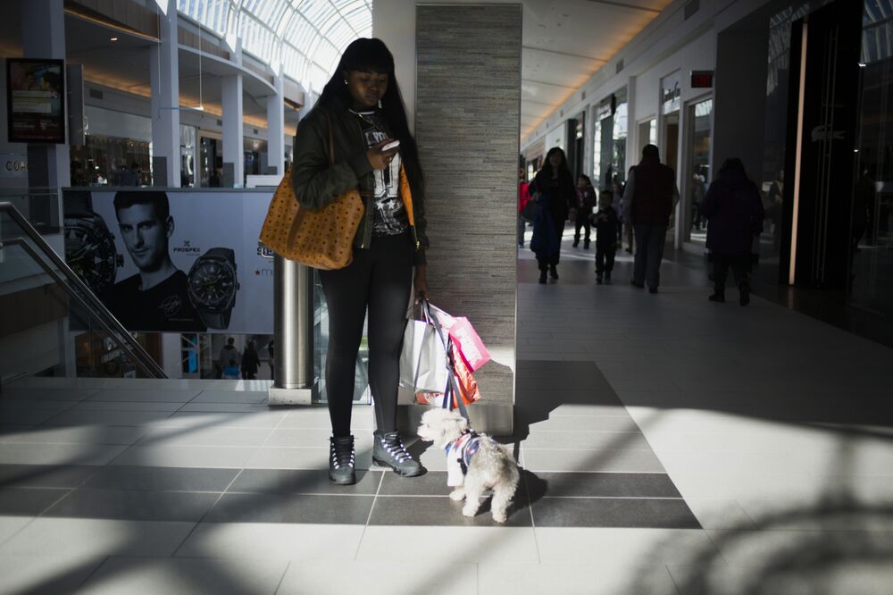 Millennials Pony Up For Pets As Holiday Shopping Season Beckons