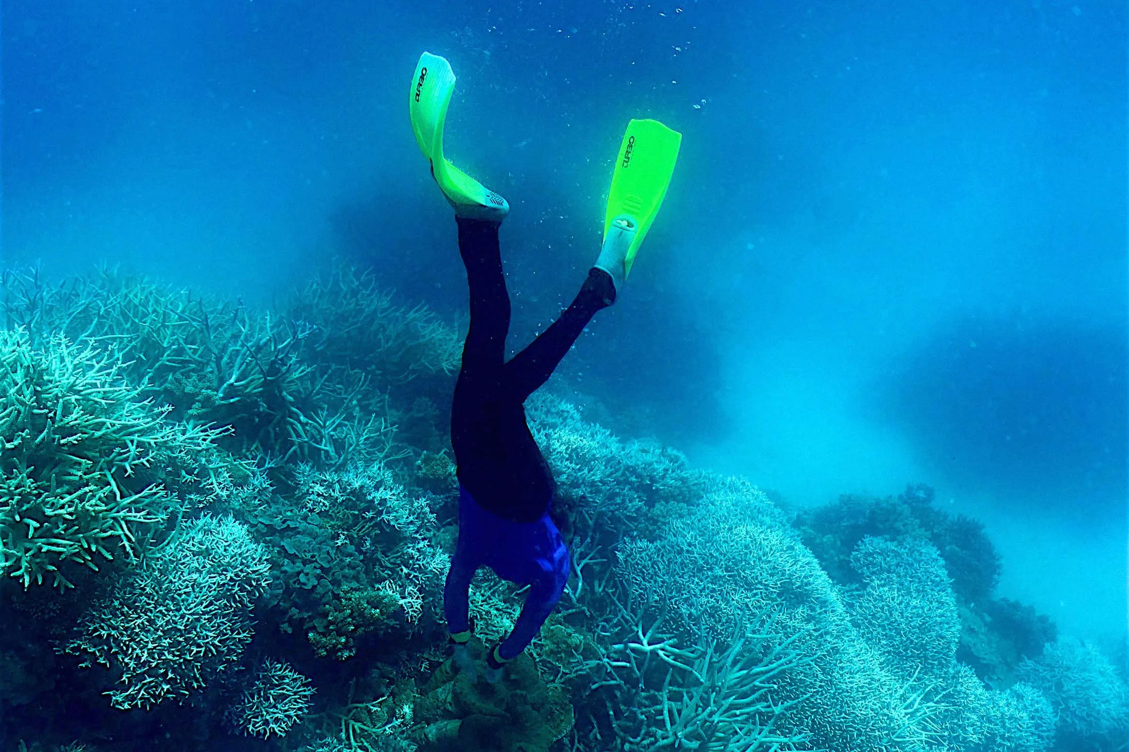 A diver swimming among&nbsp;the coral on the Great Barrier Reef&nbsp;in March.&nbsp;
Photographer: Glenn Nichols/AFP/Getty Images