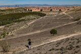 Heat And Drought Hamper Madrid's Urban Forest Plans