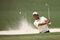 The Masters - Final Round