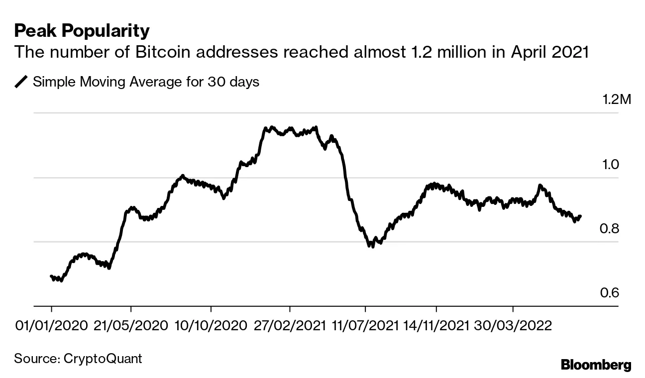 Crypto Investors Nursing Bitcoin (BTC) Losses Have Family, Friends to Thank  - Bloomberg