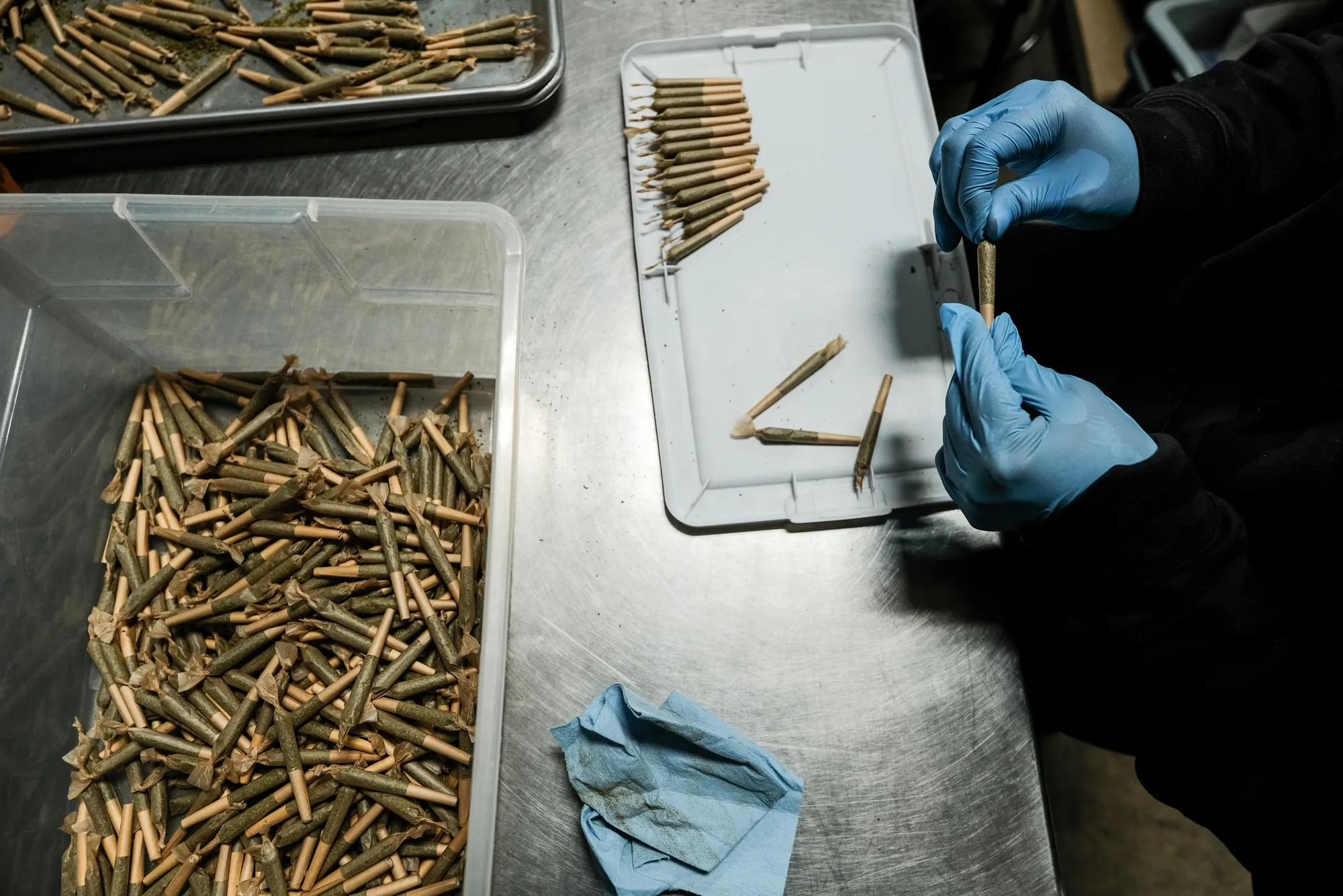 A worker rolls and packages cannabis joints in California.&nbsp;