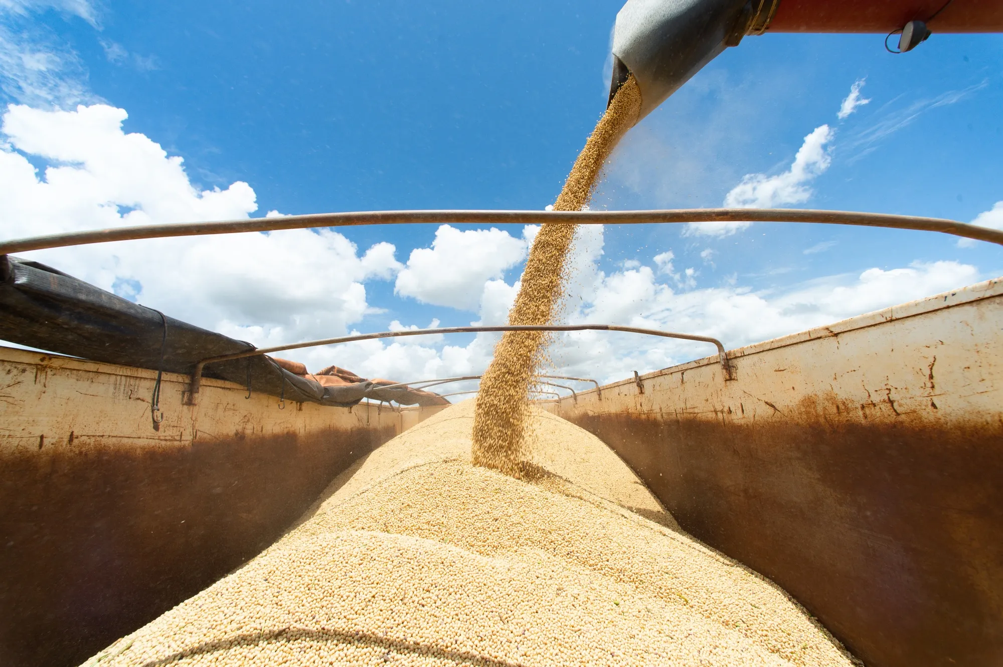 Soybeans are harvested near Brasilia, Brazil in August.