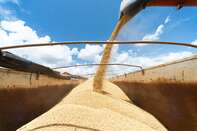 Brazil Struggles To Get Fertilizer Amid Russia Supply Woes
