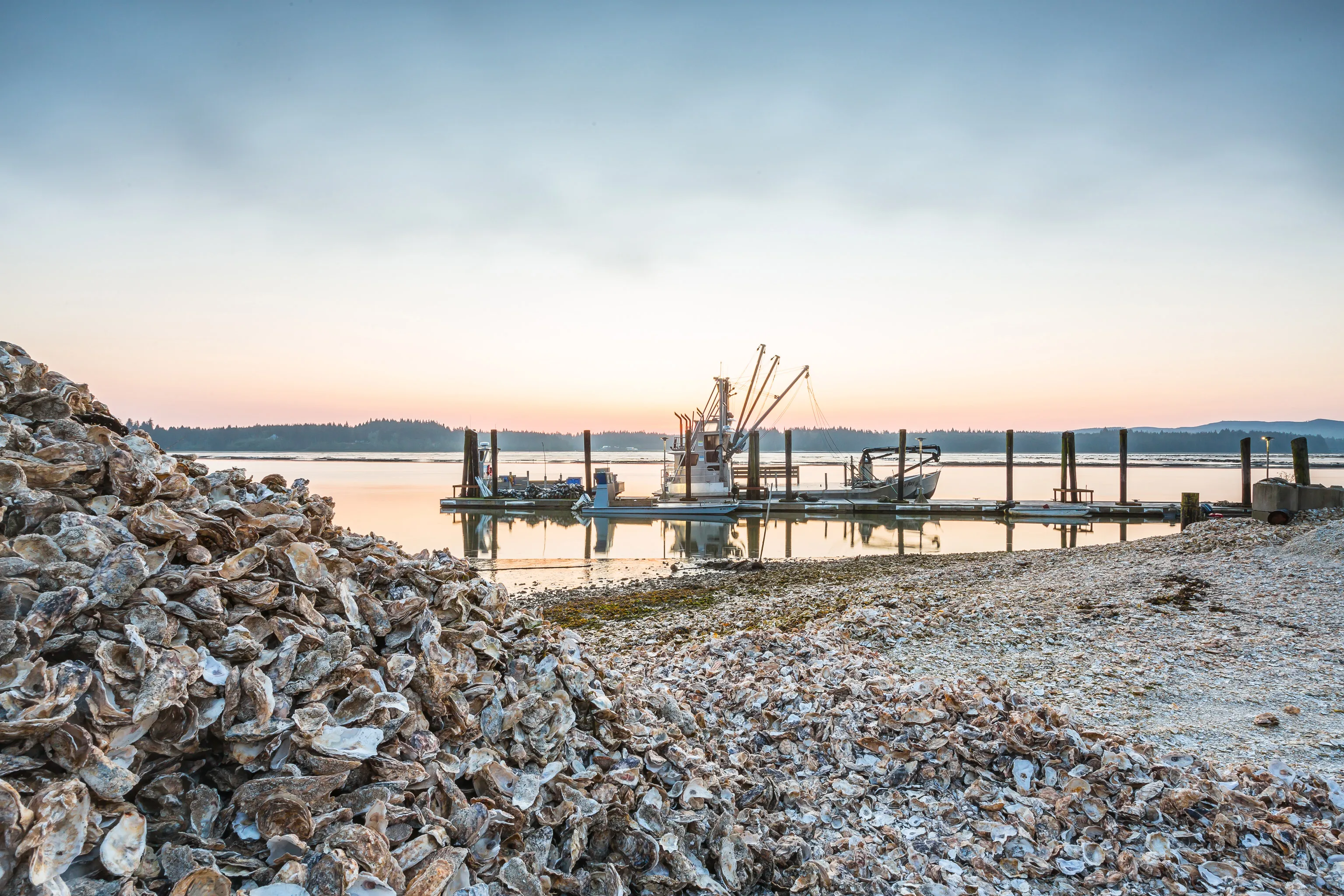 Early morning in Willapa Bay
