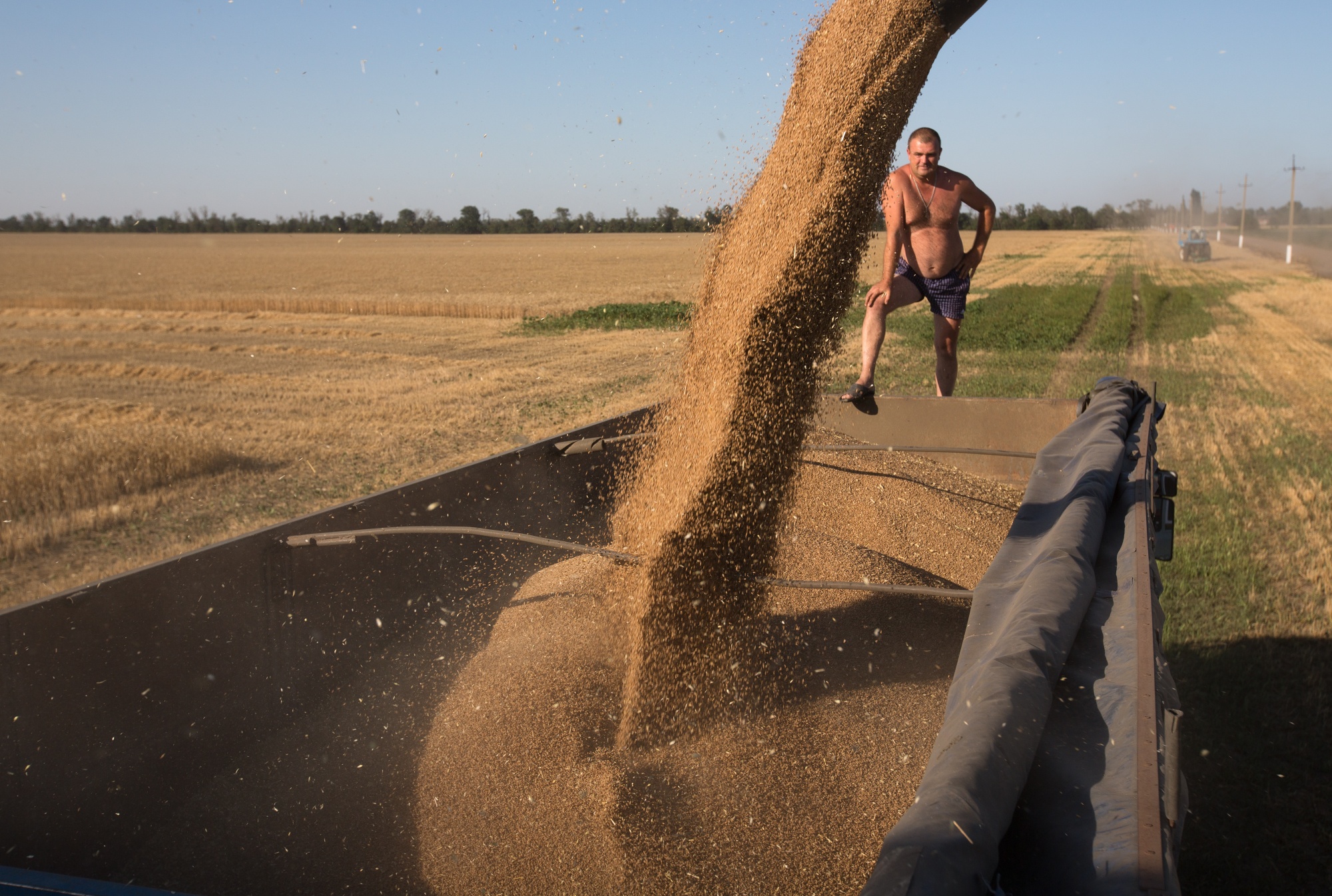 A worker monitors as harvested wheat grain is unloaded into a truck during the summer harvest on a farm in Krasnodar, Russia, on July 3.