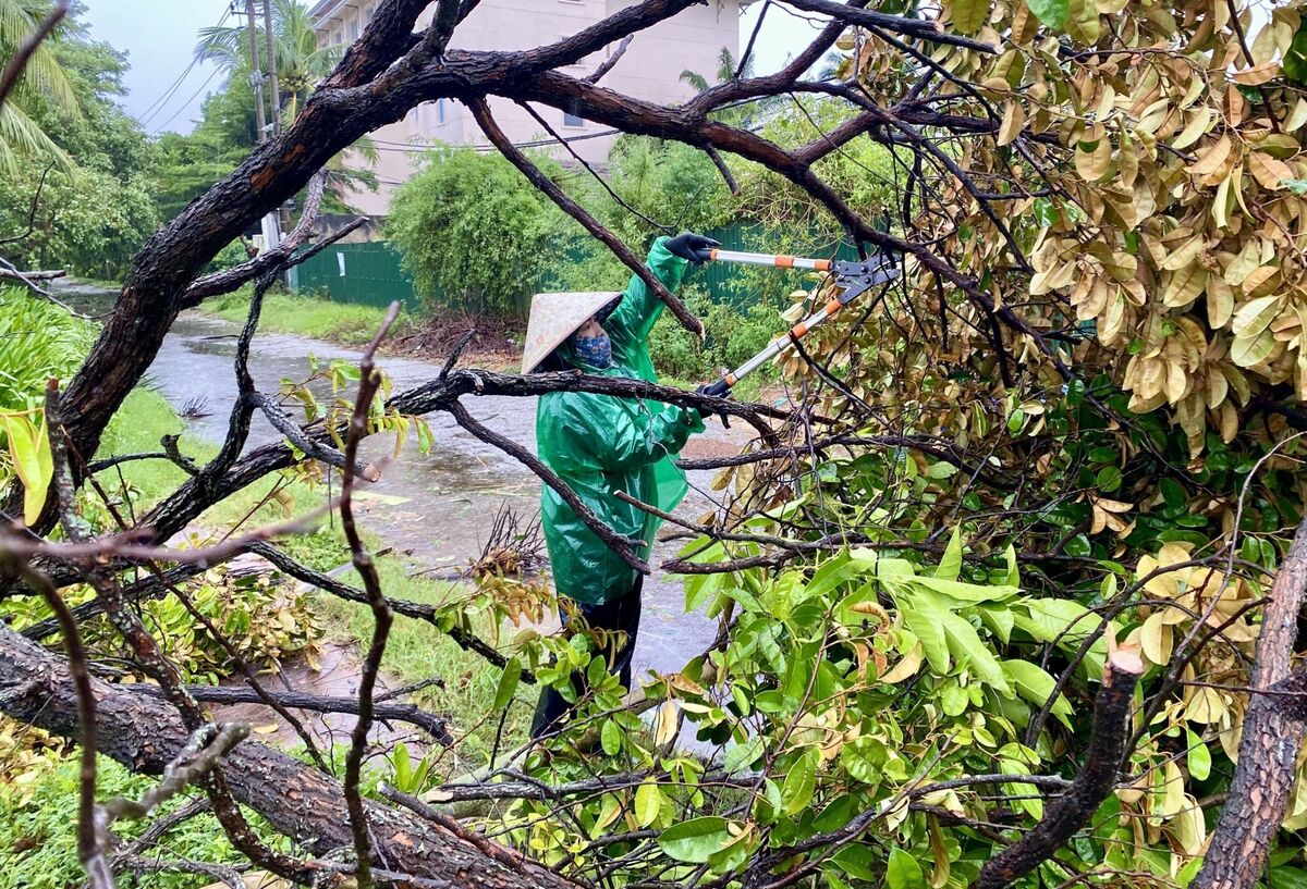 Typhoon Bualoi Kills 9, Causes Widespread Damage Across Central Vietnam