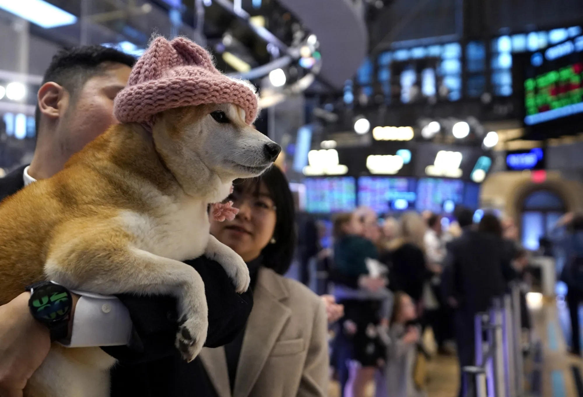 The dog from the famous dogwifhat meme,&nbsp;Achi, on the New York Stock Exchange on Jan. 23.&nbsp;