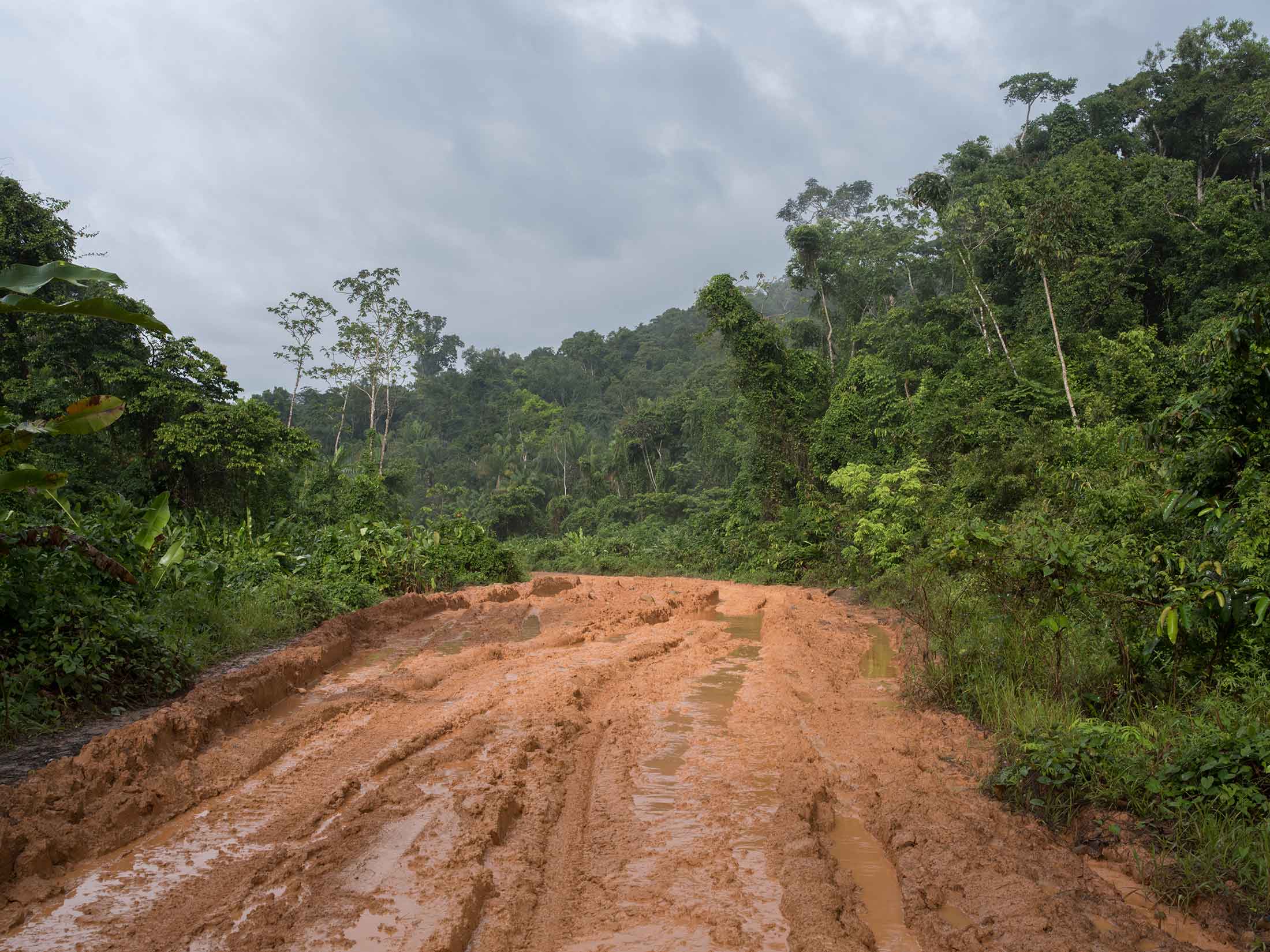 Fotografia Ground rural road in the middle of tropical jungle