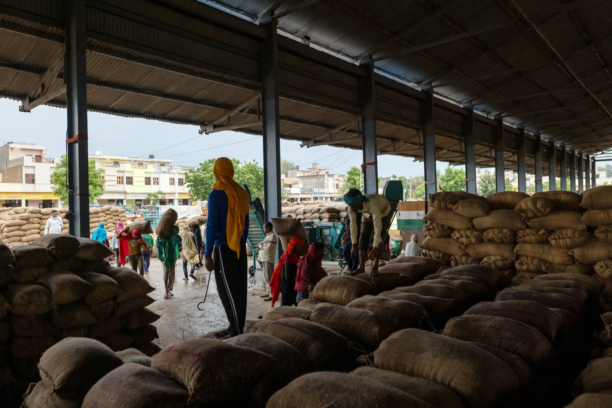 Workers unload paddy rice at a market in Narvana, India.