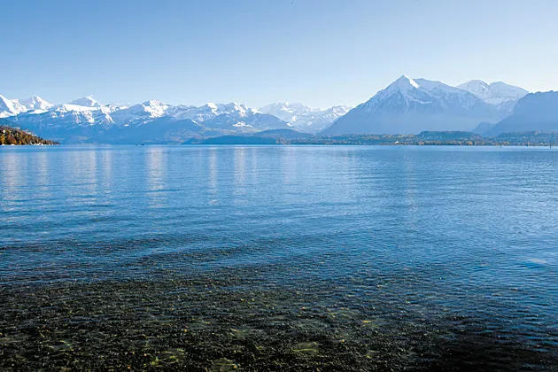 Lake Thun